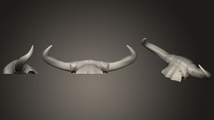 Masks and muzzles of animals (MSKJ_0232) 3D model for CNC machine
